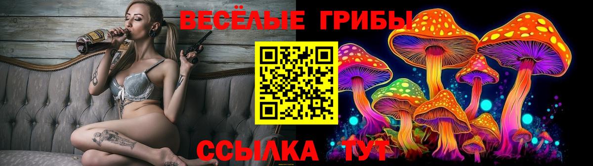 Псилоцибиновые грибы Cubensis Саяногорск